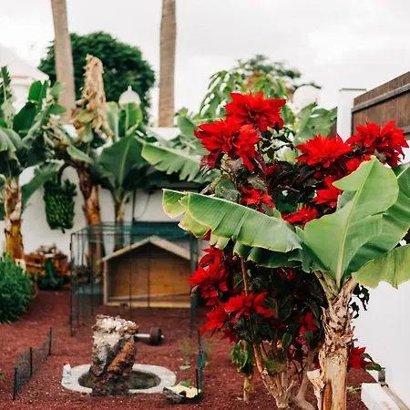 度假居 La Palmera - Fabulosa Casa, Lanzarote, *