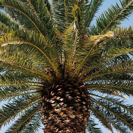 La Palmera - Fabulosa Casa, Lanzarote, 宏达海滩